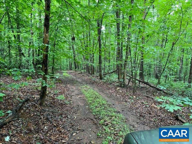 50 AC. TRACT HOWARDSVILLE TPKE, SCHUYLER, VA 22969, photo 1