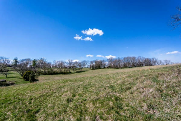 LOT A CHURCH ST, TIMBERVILLE, VA 22853, photo 5 of 6