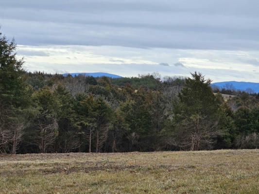 4 CROWN RIDGE BERRY FARM RD, STAUNTON, VA 24401, photo 4 of 48