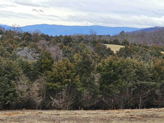 4 CROWN RIDGE BERRY FARM RD, STAUNTON, VA 24401, photo 2 of 48