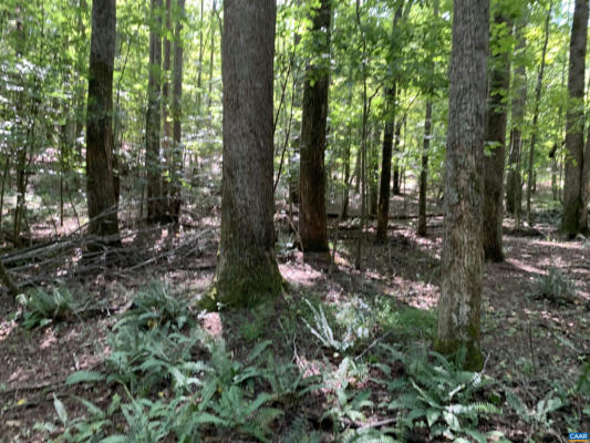 LOT 5 GREEN CREEK RD, OLD DOMINION, VA 22969 - Image 1