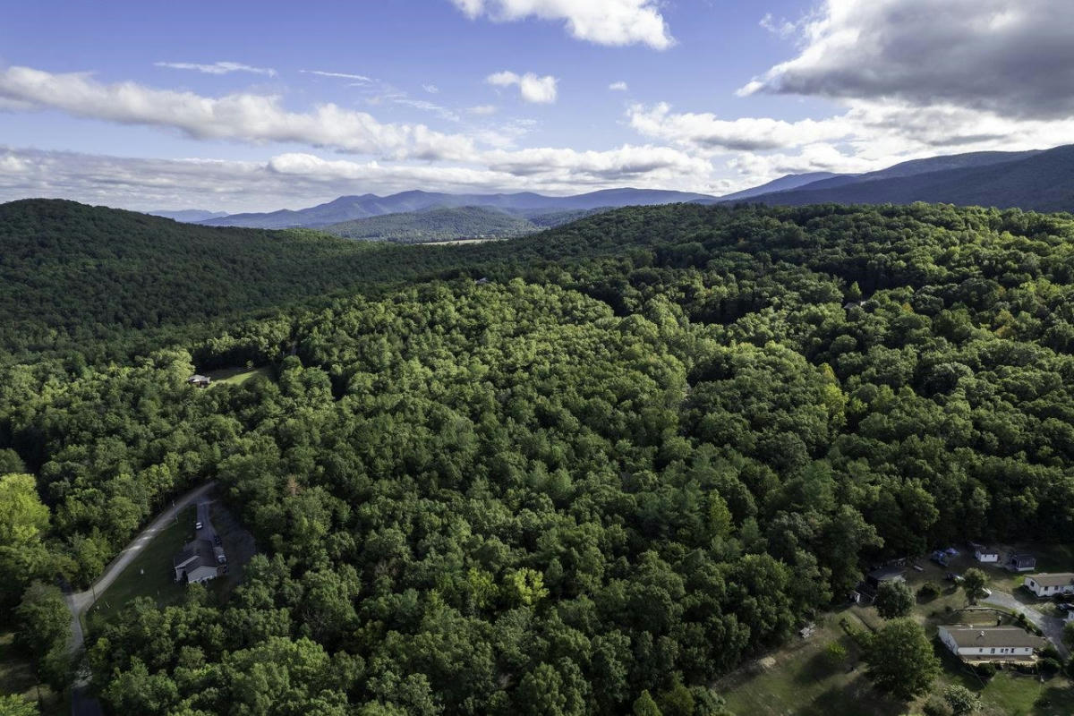 LOT D3 HOLIDAY HILL RD, LURAY, VA 22835, photo 1 of 38