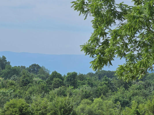 4 CROWN RIDGE BERRY FARM RD, STAUNTON, VA 24401, photo 5 of 48