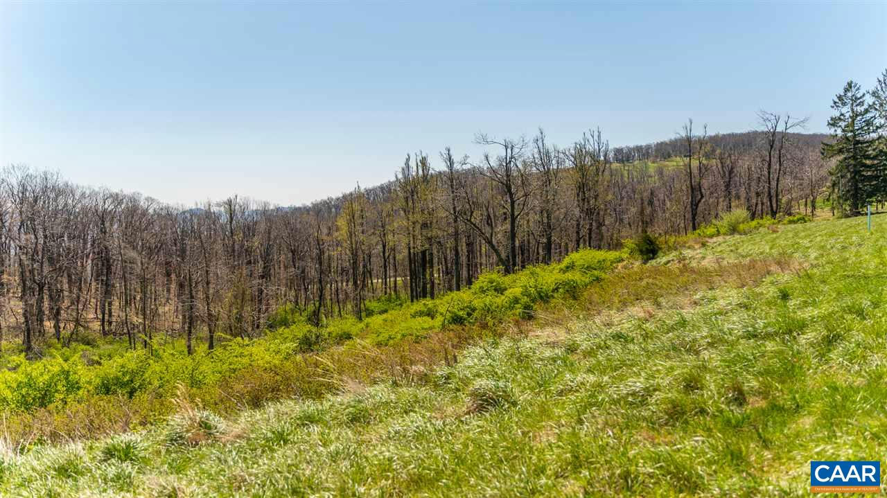 LOT 16 HOWARDSVILLE TPKE, AFTON, VA 22920, photo 1 of 19