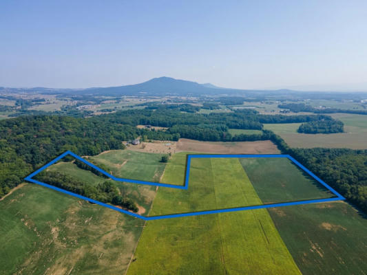 TBD DOE HILL RD, PORT REPUBLIC, VA 24471 - Image 1