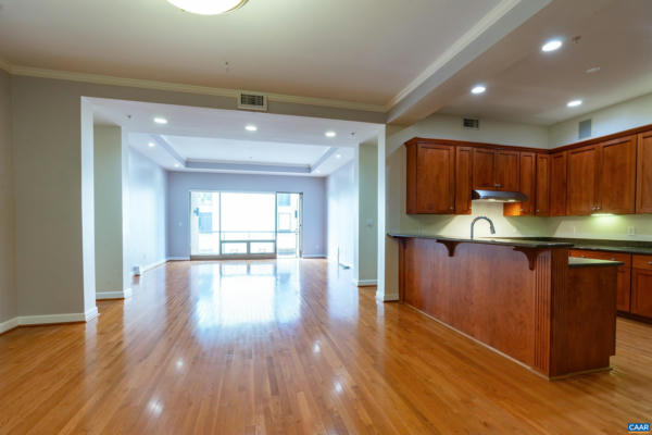 112 5TH ST SE APT 3D, CHARLOTTESVILLE, VA 22902 - Image 1