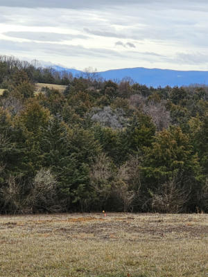 4 CROWN RIDGE BERRY FARM RD, STAUNTON, VA 24401, photo 3 of 48